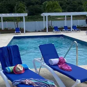 Natty's Cozy House In Hanover Jamaica Lucea